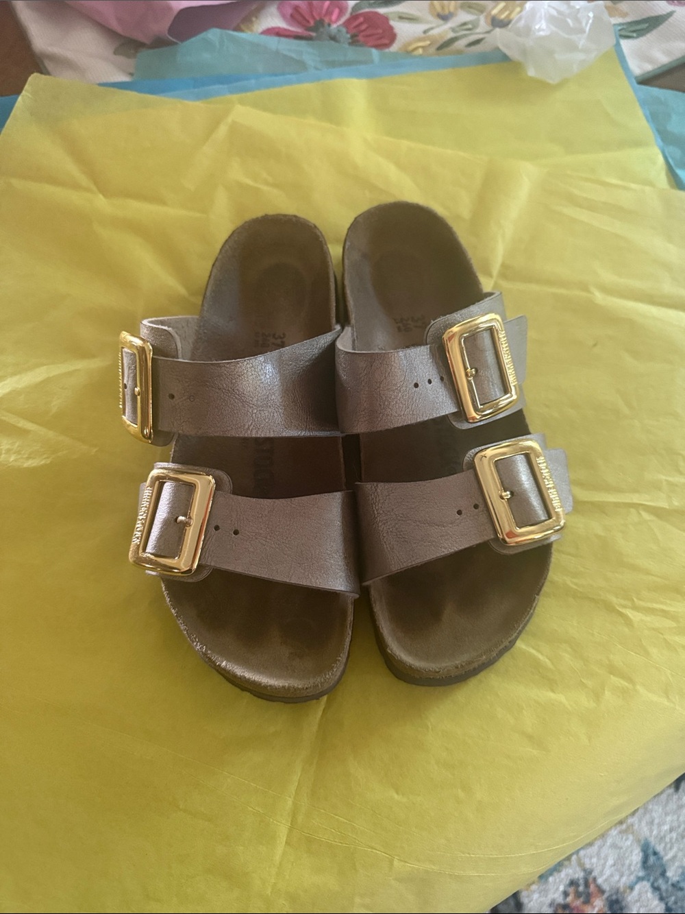 Birkenstock Double-Strap Sandals in Metallic Bronze with Gold Buckles